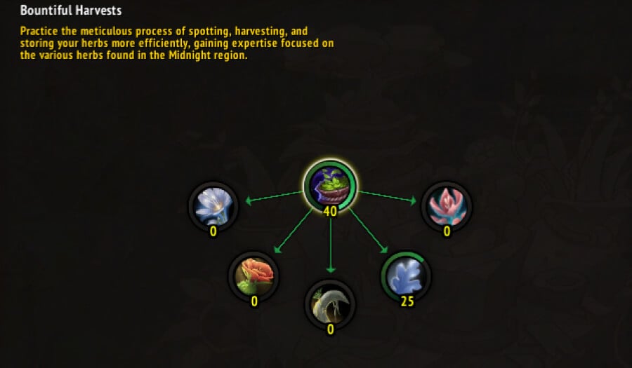 argentleaf points bountiful