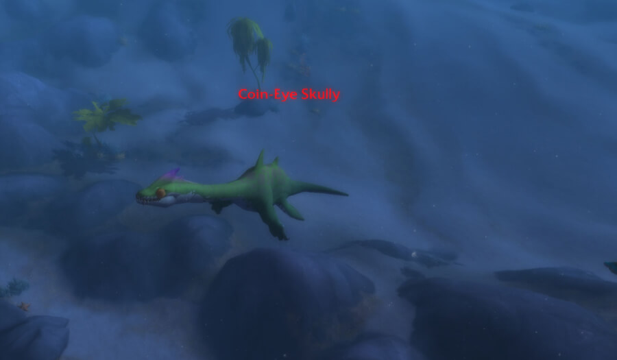 coin eye skully