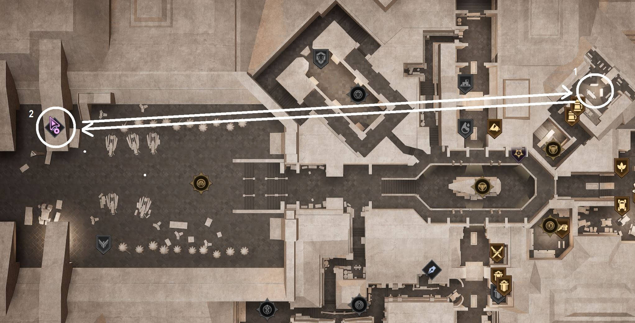 an olive branch zoomed out.JPG