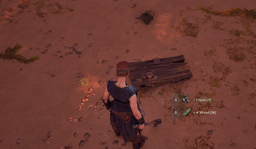 windrose storage nails