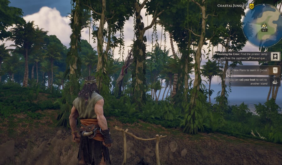 windrose twist of fate red flag on tree