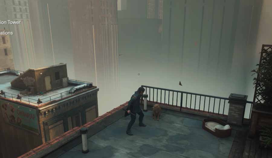 control resonant dog downtown
