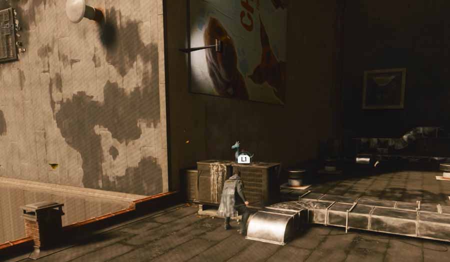 control resonant dog toy location west incursion zone