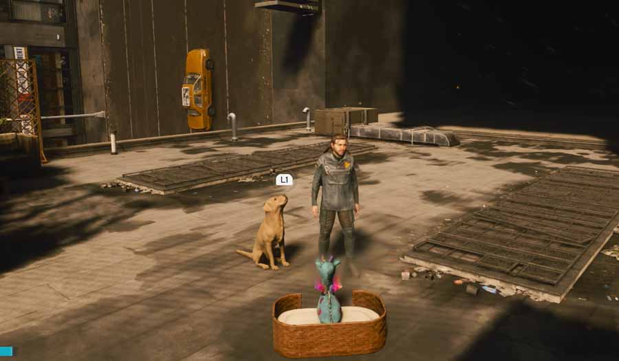 control resonant dog west incursion zone