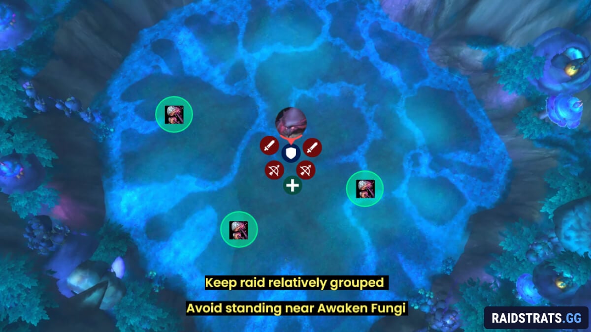 rotmire heroic vines placement