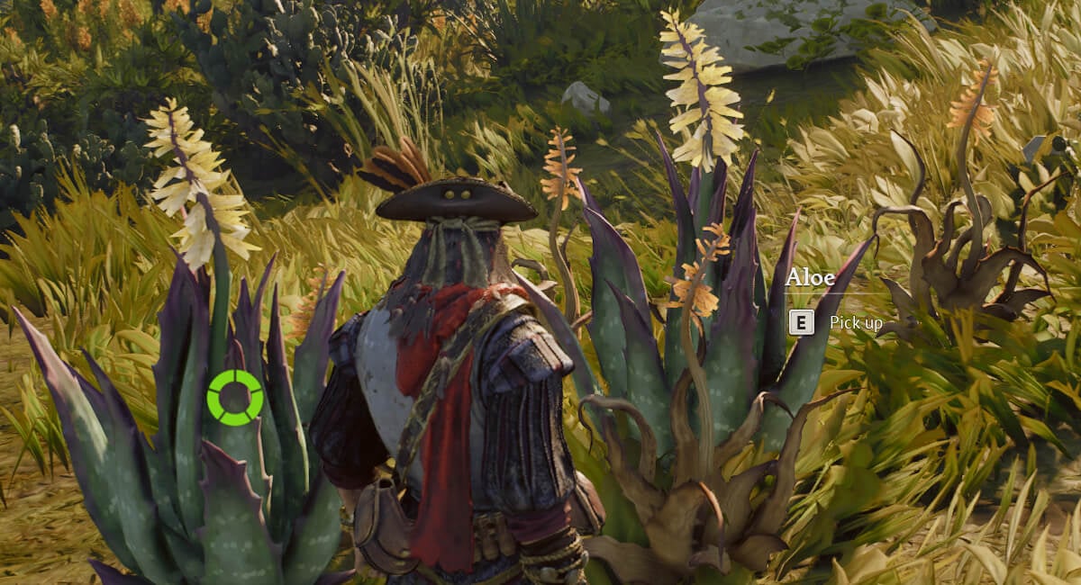 windrose all foothill resources aloe leaf