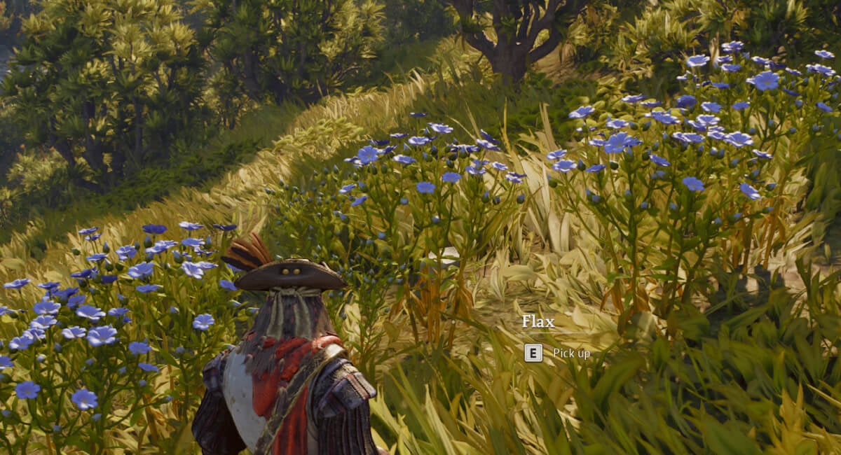 windrose all foothill resources flax fibers