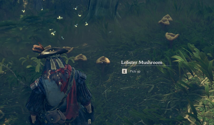 windrose where to find cursed swamp resources lobster mushroom