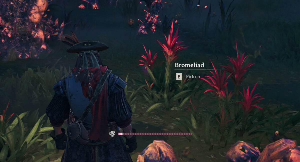 windrose where to find cursed swamp resources bromeliad