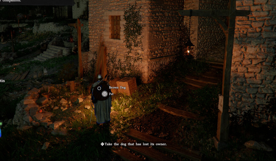 fang without a master dog