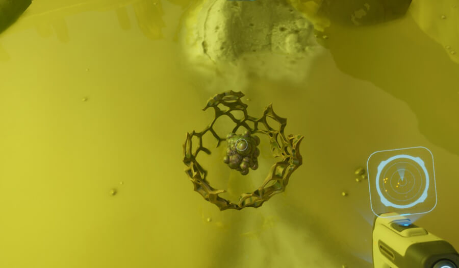 axum bacterial culture