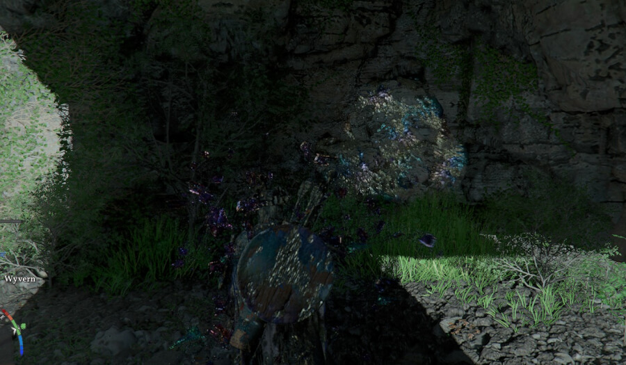 baby wyvern pet wall