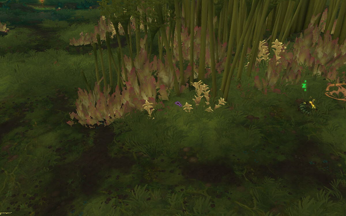 spare expedition torch