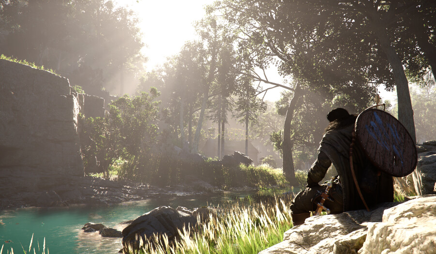 crimson desert what we know forest