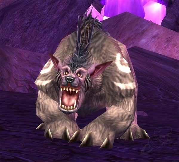 Bear Form TBC Classic