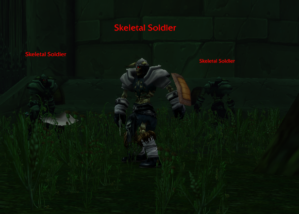Skeletal Soldiers WoW Forever
